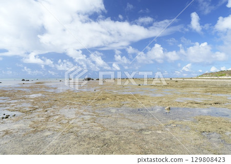 [Ishigaki Island, Okinawa Prefecture] Shiraho Beach 129808423