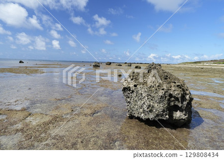 [沖繩縣石垣島]白保海灘 129808434