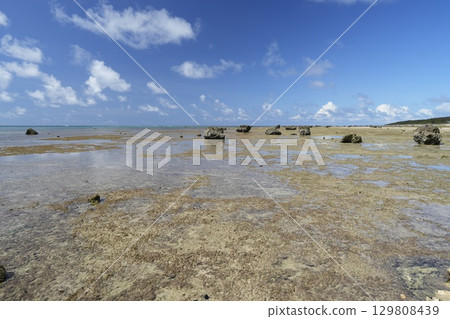 [沖繩縣石垣島]白保海灘 129808439