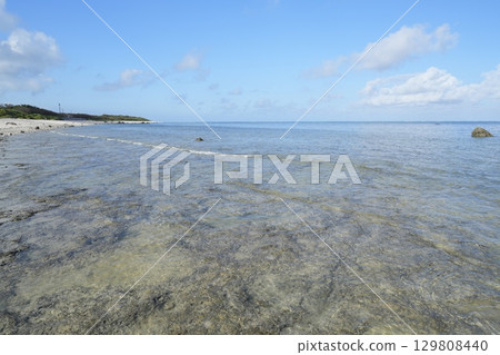 [Ishigaki Island, Okinawa Prefecture] Shiraho Beach 129808440