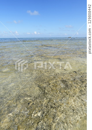 [沖繩縣石垣島]白保海灘 129808442