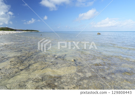 [沖繩縣石垣島]白保海灘 129808443