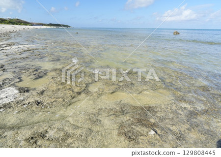 [Ishigaki Island, Okinawa Prefecture] Shiraho Beach 129808445
