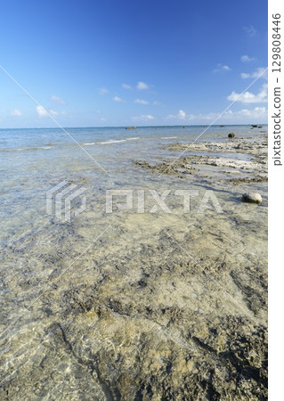 [Ishigaki Island, Okinawa Prefecture] Shiraho Beach 129808446