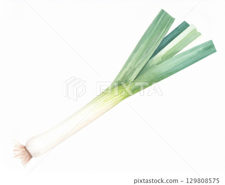 蔥 129808575