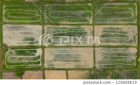 Aerial view of rice field after tractor pull a plow through rice field before planting. Conceptual shot of land after preparing for farming. Aerial view of rice field after tractor pull a plow through rice field before planting. Conceptual shot of land after preparing for farming. 129808619