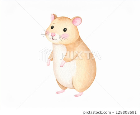 Hamster 129808691