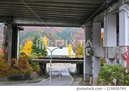Echigo Yuzawa Onsen Town: View from under the Joetsu Line overhead wires during autumn foliage season 129808740