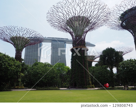 新加坡著名的植物園－濱海灣花園 129808743