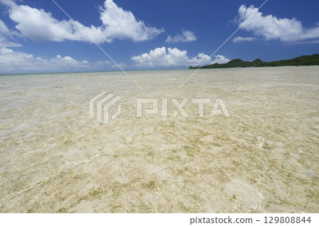 [Ishigaki Island, Okinawa Prefecture] Sukuji Beach 129808844
