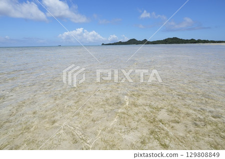 [Ishigaki Island, Okinawa Prefecture] Sukuji Beach 129808849