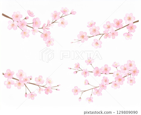 Cherry Blossom	 129809090