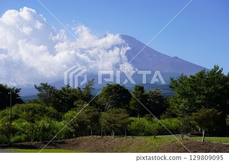 從靜岡縣裾野市眺望夏季的富士山 129809095