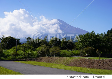 Mt.Fuji in summer seen from Susono City, Shizuoka Prefecture 129809100