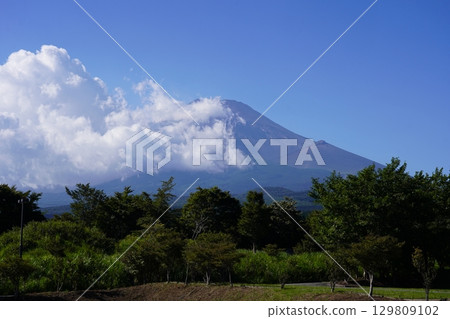 Mt.Fuji in summer seen from Susono City, Shizuoka Prefecture 129809102