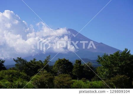 Mt.Fuji in summer seen from Susono City, Shizuoka Prefecture 129809104