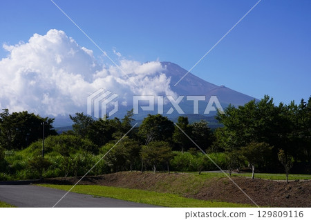 Mt.Fuji in summer seen from Susono City, Shizuoka Prefecture Mt.Fuji in summer seen from Susono City, Shizuoka Prefecture 129809116