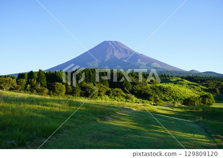 Mt.Fuji in summer seen from Susono City, Shizuoka Prefecture 129809120