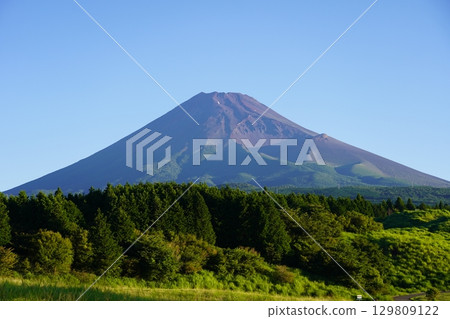從靜岡縣裾野市眺望夏季的富士山 129809122