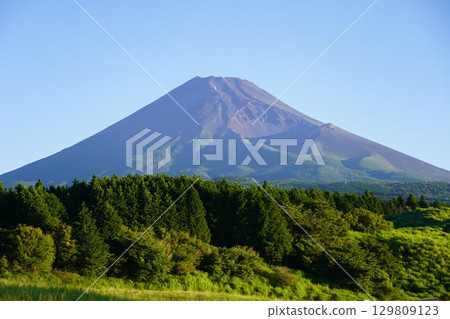 Mt.Fuji in summer seen from Susono City, Shizuoka Prefecture Mt.Fuji in summer seen from Susono City, Shizuoka Prefecture 129809123
