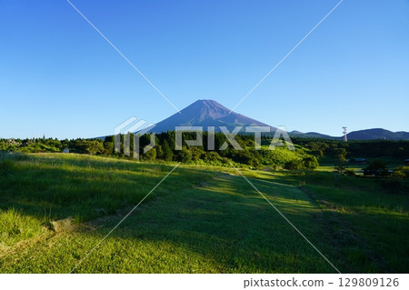 Mt.Fuji in summer seen from Susono City, Shizuoka Prefecture Mt.Fuji in summer seen from Susono City, Shizuoka Prefecture 129809126
