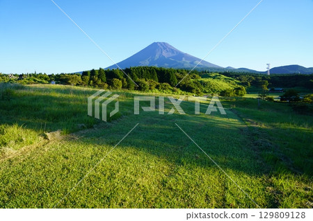 從靜岡縣裾野市眺望夏季的富士山 從靜岡縣裾野市眺望夏季的富士山 129809128