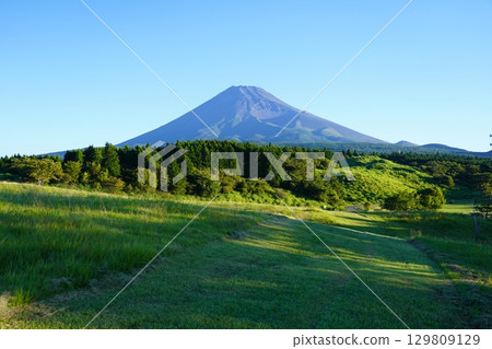 從靜岡縣裾野市眺望夏季的富士山 129809129