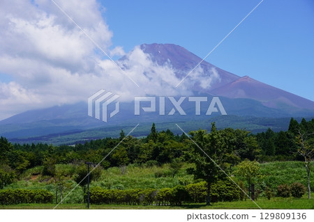 從靜岡縣裾野市眺望夏季的富士山 從靜岡縣裾野市眺望夏季的富士山 129809136