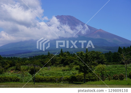 Mt.Fuji in summer seen from Susono City, Shizuoka Prefecture 129809138