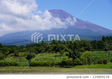 從靜岡縣裾野市眺望夏季的富士山 129809139