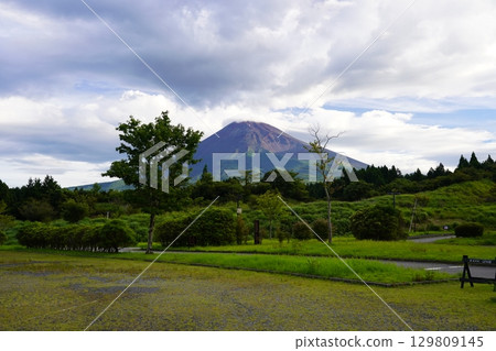 從靜岡縣裾野市眺望夏季的富士山 129809145