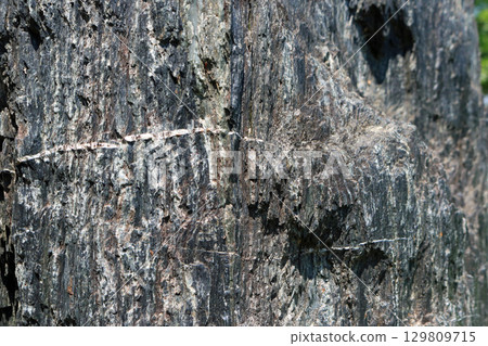 千枚岩，影像 129809715