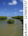 [Ishigaki Island, Okinawa Prefecture] Mangrove forests along the Miyara River 129809737