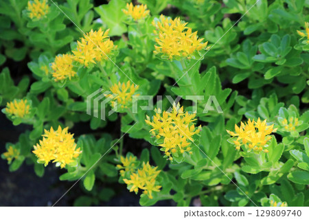 Image of chevrons Image of chevrons 129809740