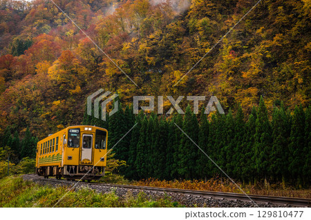 一輛黃色的火車穿過秋葉 129810477