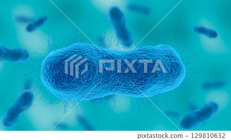 Acinetobacter baumannii, gram negative aerobic bacteria resistant to antibiotics 129810632