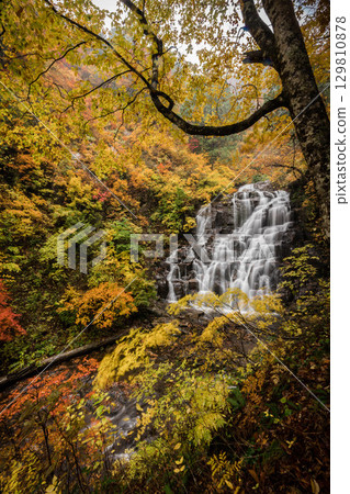 Waterfall which turns into autumn leaves Waterfall which turns into autumn leaves 129810878