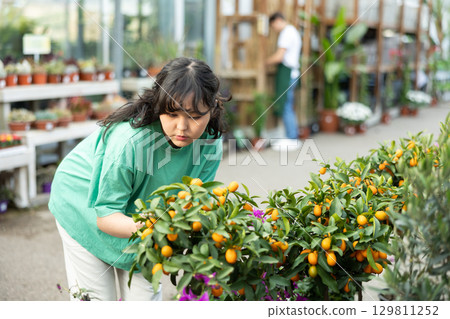 Young asian girl choosing ornamental potted kumquat in greenhouse Young asian girl choosing ornamental potted kumquat in greenhouse 129811252