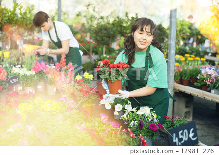 Young asian florist girl showing potted blooming petunias 129811276