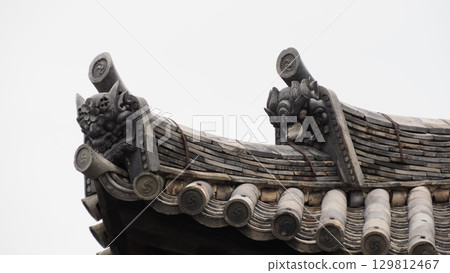 Nara Kofukuji Tigakudo 129812467