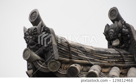 Nara Kofukuji Tigakudo 129812468