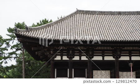 Nara Kofukuji Tigakudo 129812470