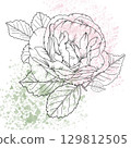 Vintage rose flower with detailed hand-drawn lines and soft watercolor splatter background. Classic sketch style with pastel pink and green watercolor splashes, for invitations, tattoo, romantic decor 129812505