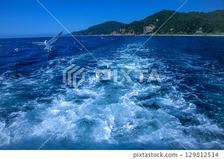 Sasagawa Flow 129812514