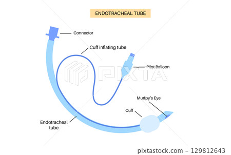endotracheal intubation tube 129812643