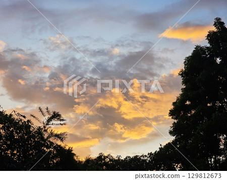 Golden Sunset in Beautiful Sky with Silhouette Tree in the forest. 129812673