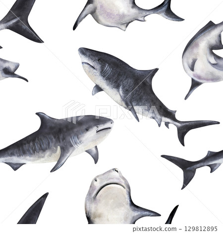 Watercolor seamless pattern with sharks on white background Watercolor seamless pattern with sharks on white background 129812895