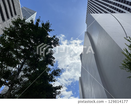 藍天、樹木和城市建築的風景 藍天、樹木和城市建築的風景 129814177