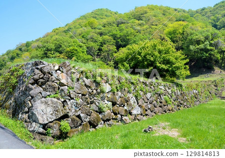 利神城遺址、平福宮遺址、南石牆 利神城遺址、平福宮遺址、南石牆 129814813