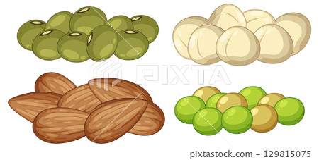Assorted Nuts and Seeds Vector Illustration Collection Assorted Nuts and Seeds Vector Illustration Collection 129815075
